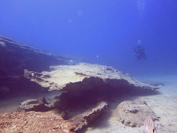 spectacular underwater scenery at playa flamingo with calipso diving